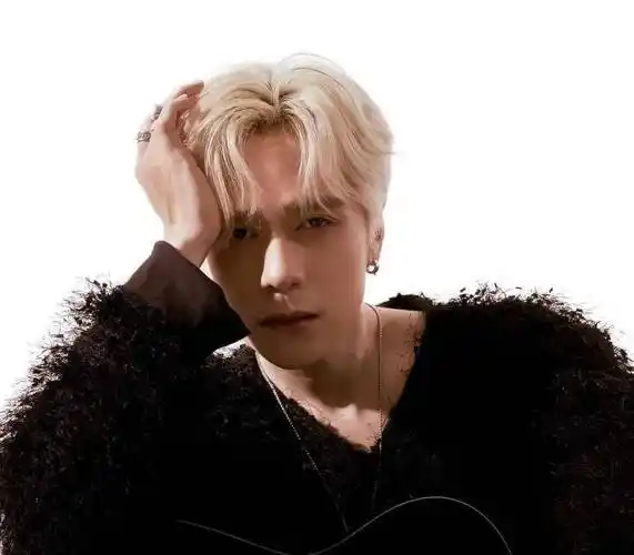 越南创作歌手:quang hùng masterd(黎光雄)2010年推出的越南五人男子