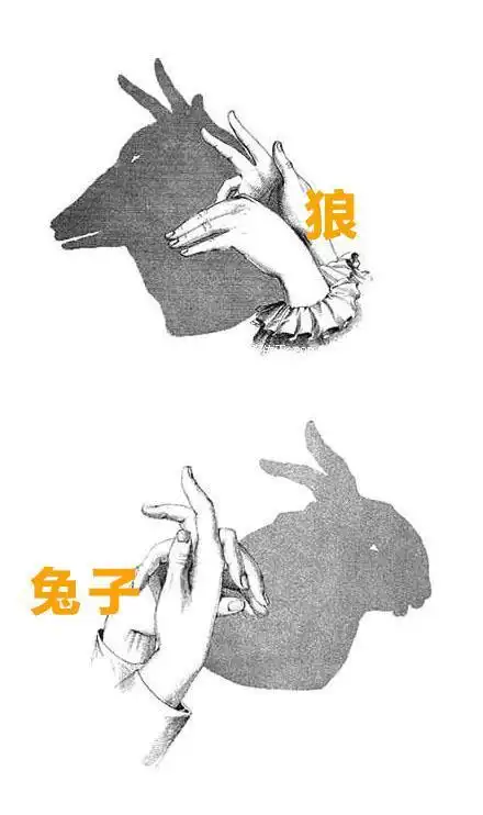 手影大合集多少年没玩过了手指头还好使吗绝对是文化遗产