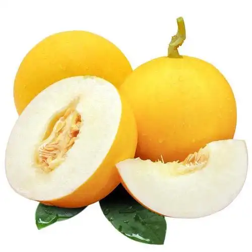 现货黄河蜜瓜黄金蜜瓜新鲜水果包邮黄皮甜瓜孕妇儿童水果非哈密瓜