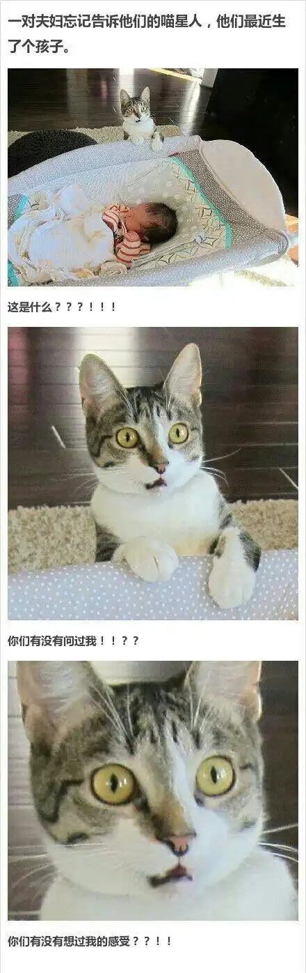 百思不得姐-内涵段子,冷笑话,搞笑图片,成人笑话,不得姐分享社区,第2