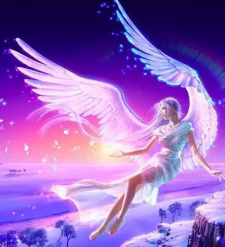 合拢的天使翅膀图片