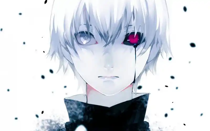 《东京喰种》白发男主金木研高清壁纸