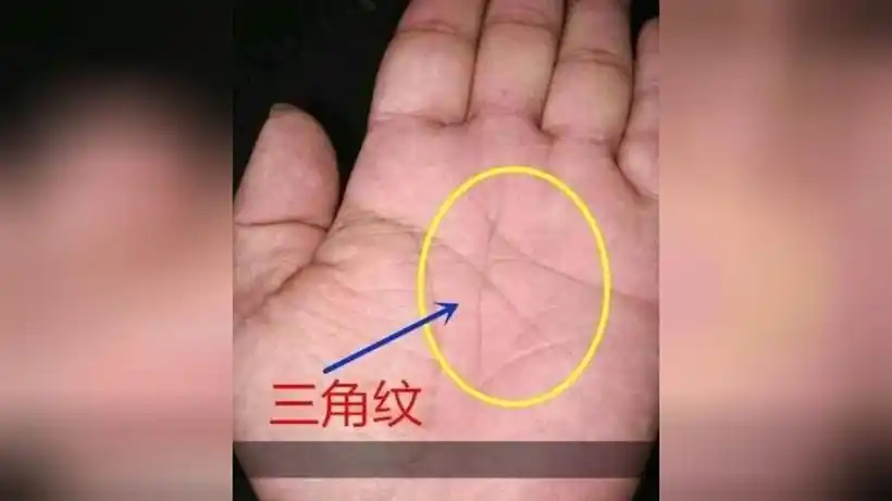右手手纹与健康图_女人m手纹是什么意思_质量单位mg是什么意思m是大写