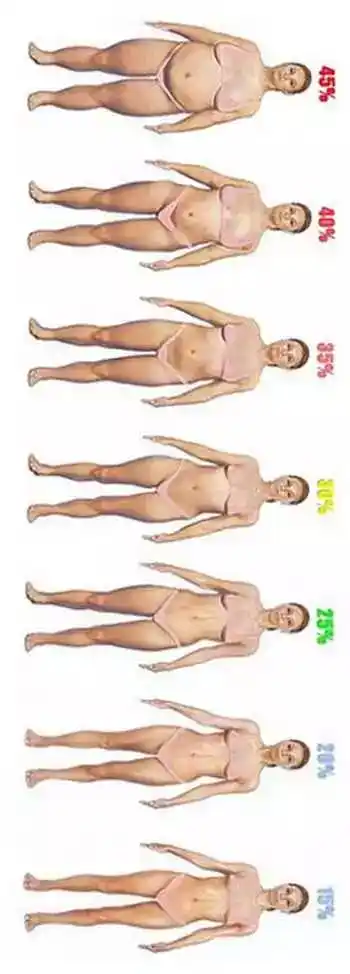 你的身体有多少脂肪?什么样才是完美身材!