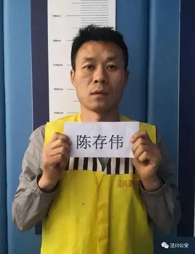 近日,泾川县公安局经过缜密侦查,抓获涉嫌犯罪的嫌疑人陈存伟(男,汉族