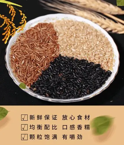 三色米 黑米红米三糙米500g五谷杂粮饭 一件代发粗粮饭三色糙米饭