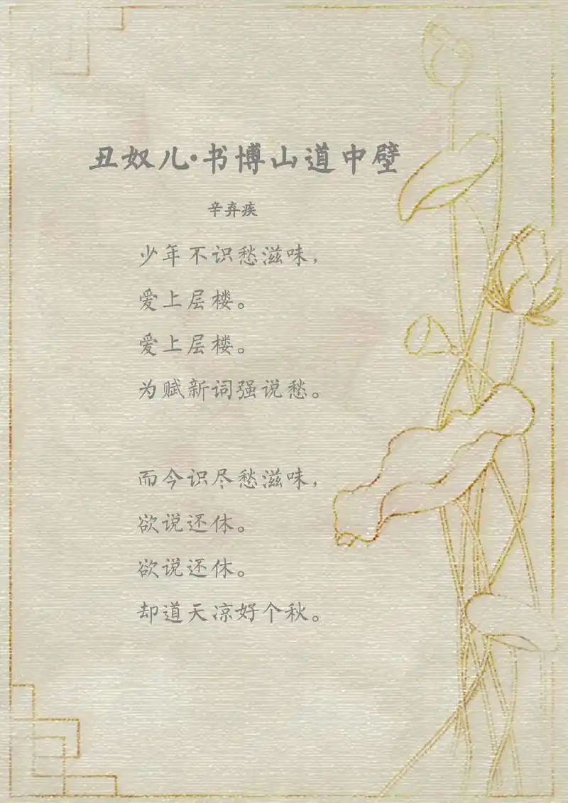 《丑奴儿·书博山道中壁》#古诗词 #每日推文 少年不识愁滋 - 抖音