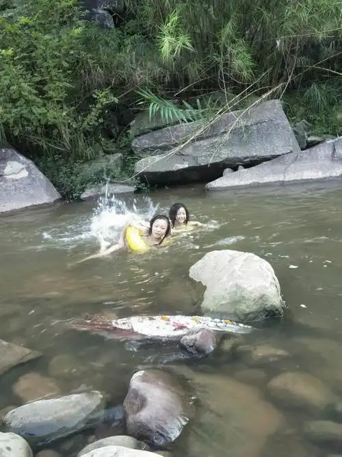 爸爸妈妈带我和妹妹到河边学游泳