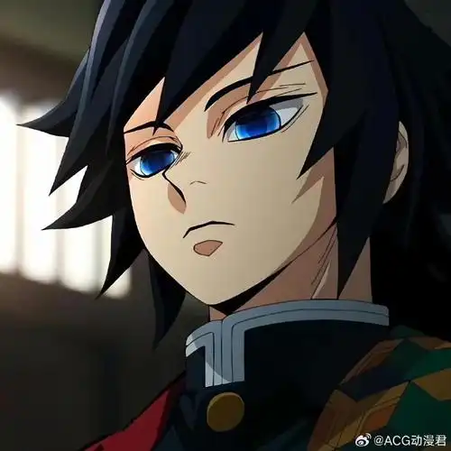 日本粉丝票选【鬼灭之刃最喜欢的柱】排行09    1位05水柱·富冈