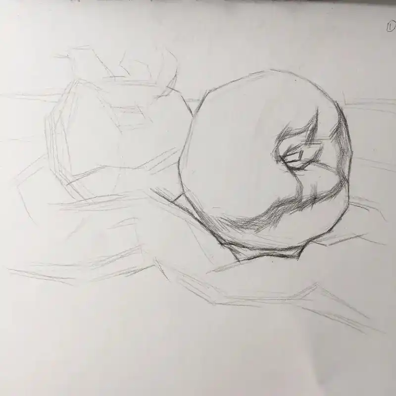 水果组合素描步骤图.#海豚知道 #素描静物 #绘画过程分享  - 抖音