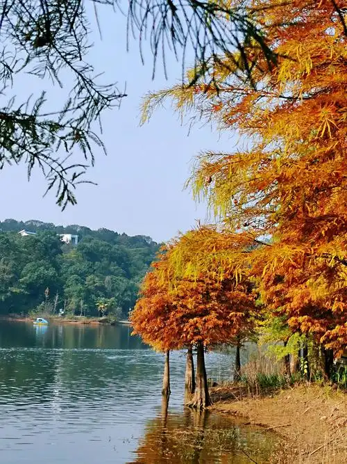 实拍,德阳东湖公园风景