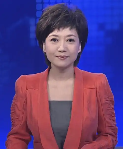 原创贺红梅从河北走出的央视主播事业顺风顺水婚姻状况却成谜