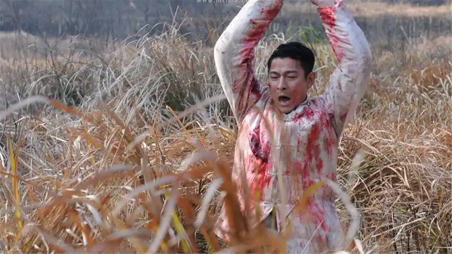 刘德华经典电影新少林寺高清剧照海报桌面壁纸图片素材下载第二辑