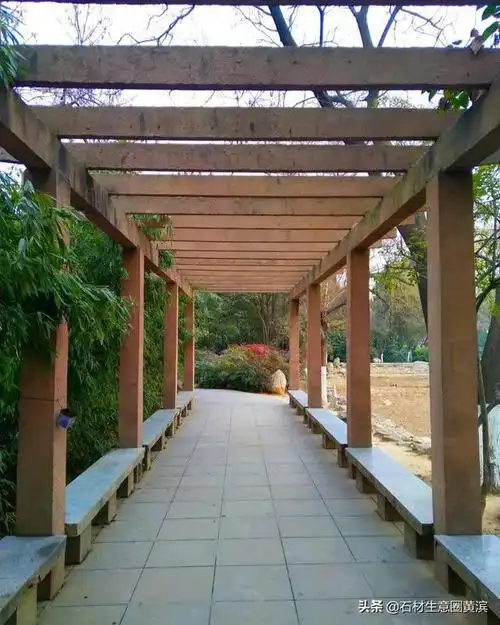 保护作用:可以把空间围合也能保护树木一般作为种植池和坐凳相结合