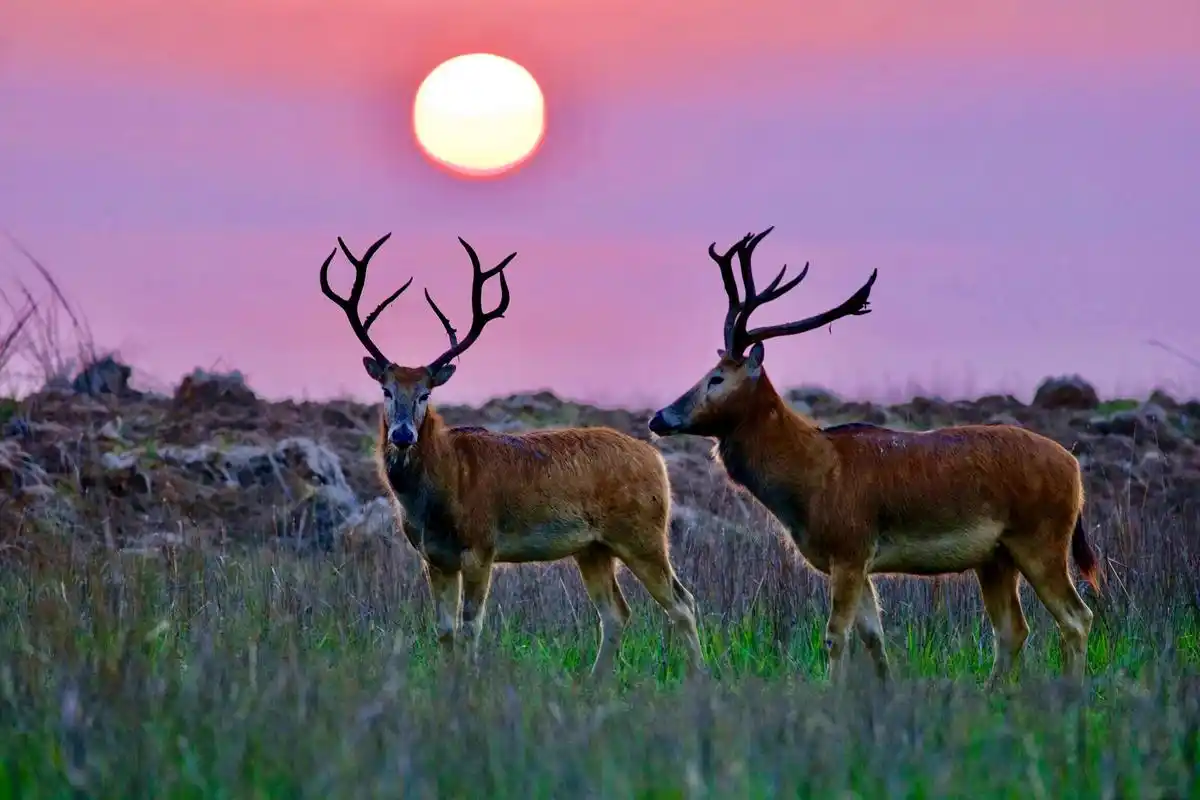 空间内涵与生态发展