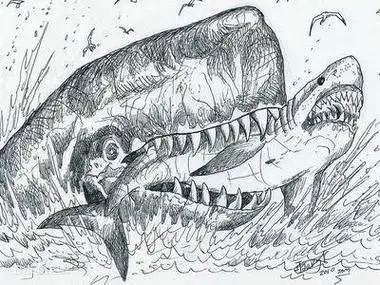 巨齿鲨怎么画巨齿鲨简笔画简单好看带颜色简笔画巨齿鲨怎么画巨齿鲨要