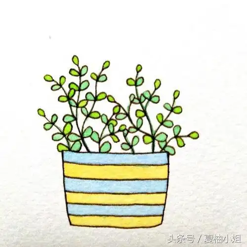 植物简笔画-植物类绿萝简笔画色彩植物简笔画彩色植物简笔画怎么画