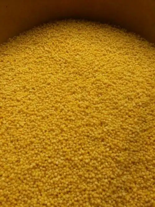 爸爸种的小米是这样子的.