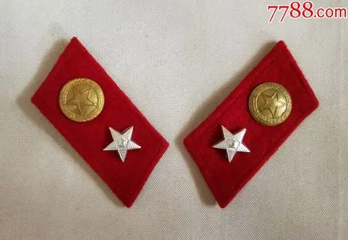 55军需官领章(影视道具)