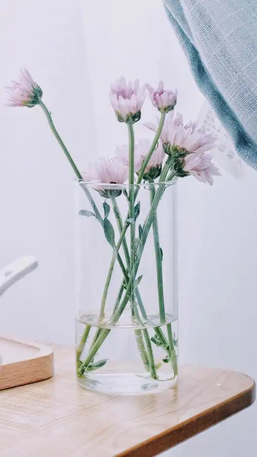 文艺小清新花卉唯美写真