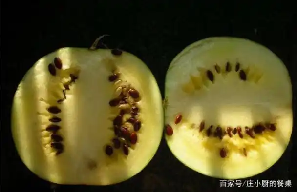 湖南永州的喜籽瓜