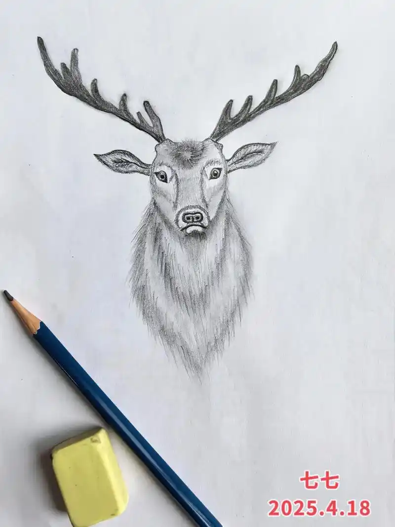 ✏️每日一画,遇见麋鹿🦌,福禄将至🦌#麋鹿 #自学画画