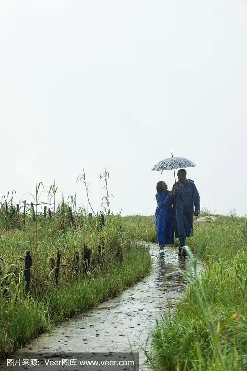一对情侣穿着雨衣,打着雨伞,在雨中漫步在远处的小路上