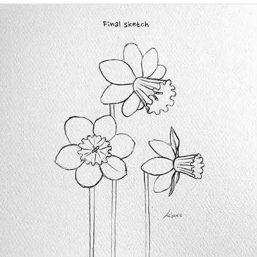 花的简笔画教程