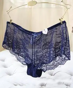欧美高端名品美国花之韵性感蕾丝半透明女士平角内裤女