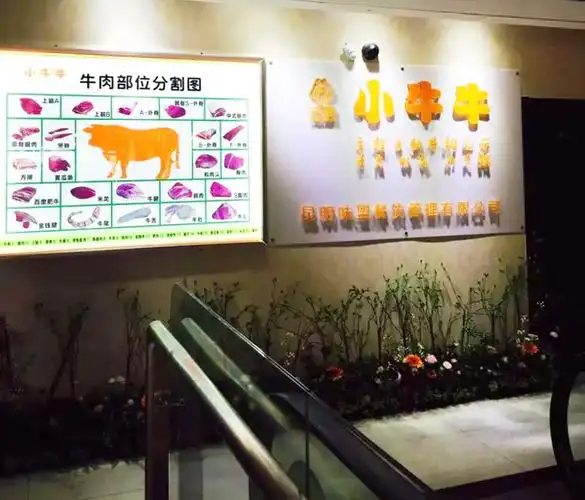 探店:小牛牛--体验牛肉刺身与火锅的终极美味