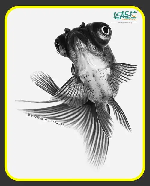 素描金鱼