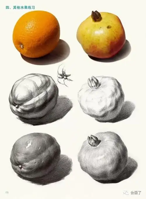 2018基础教学完美教程素描静物敲门砖素描静物基础入门水果蔬菜陶瓷