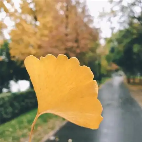 适合一辈子风景头像图片 高清值得一辈子不换的头像风景_风景微信头像