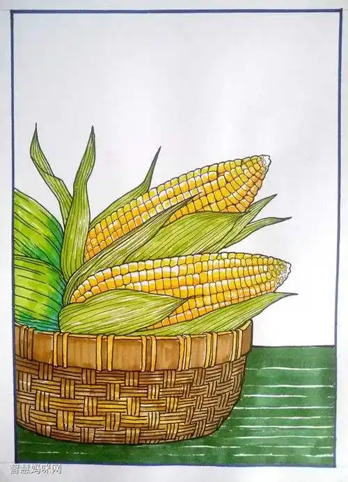 可口的玉米儿童绘画
