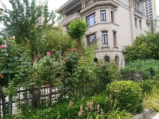 南北通透 小区绿化高 满五 产权清晰 豪华设计,石家庄碧桂园(别墅)