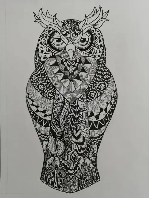 黑白装饰画 猫头鹰|插画|创作习作|我有一颗月亮 - 原创作品 - 站酷