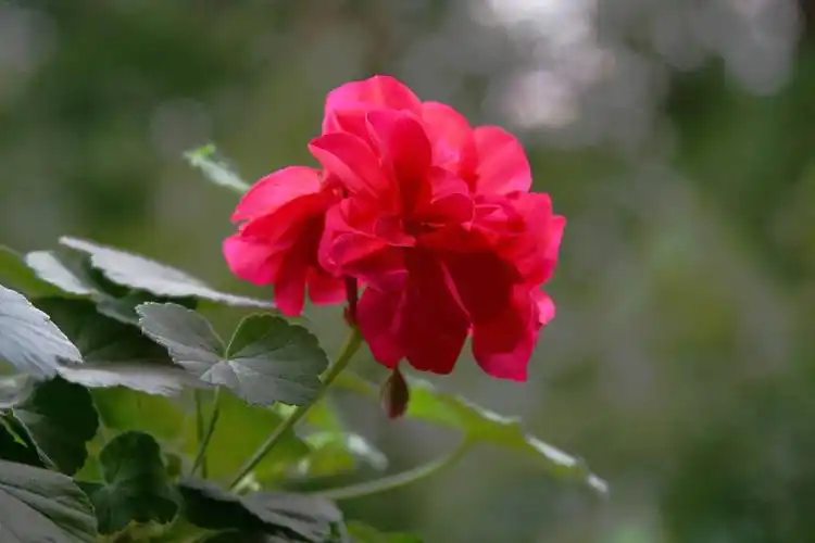 看看本站 类似作品 √红