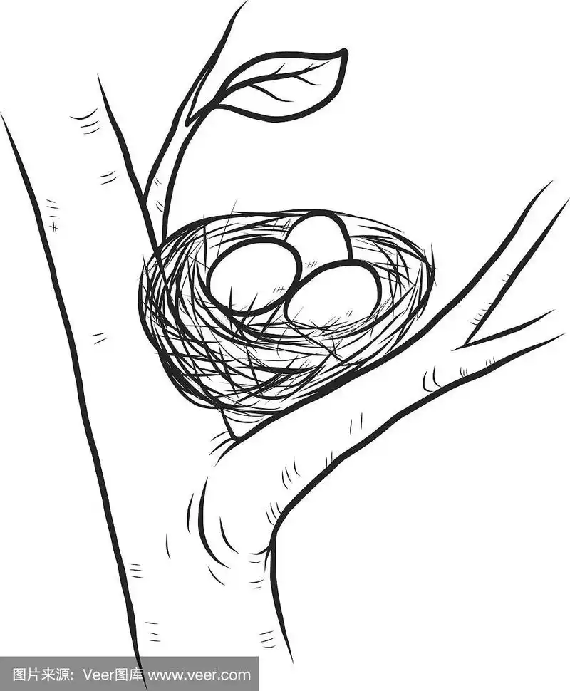 鸟巢,三个物体,艺术,无人,绘画插图