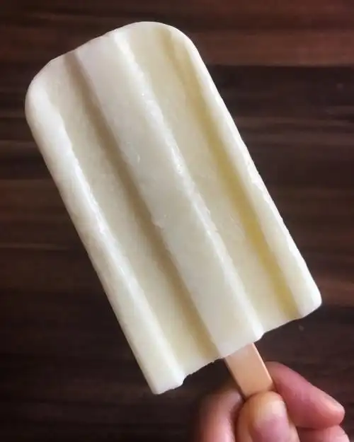 catcatcat2001做的特浓牛奶雪糕