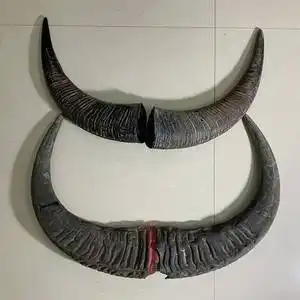 壮姑娘天然牛头挂件真牛角黑水牛原始牛角整只角原料工艺品礼品摆