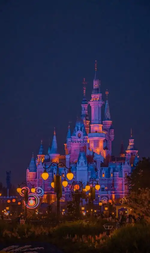 美丽的上海迪士尼风光