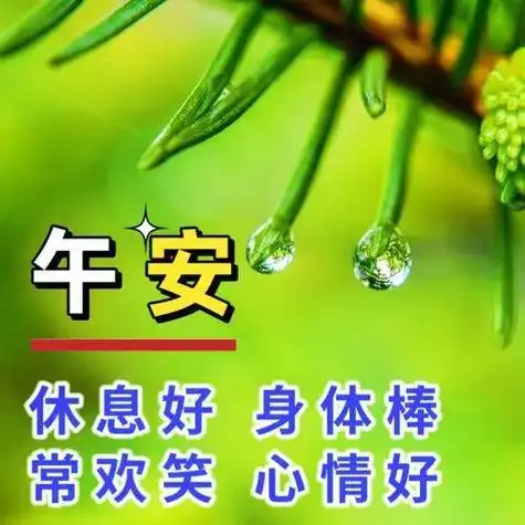 中午好图片大全中午好问候图片大全中午好祝福语