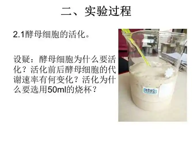 边做边学酵母菌细胞的固定化技术ppt