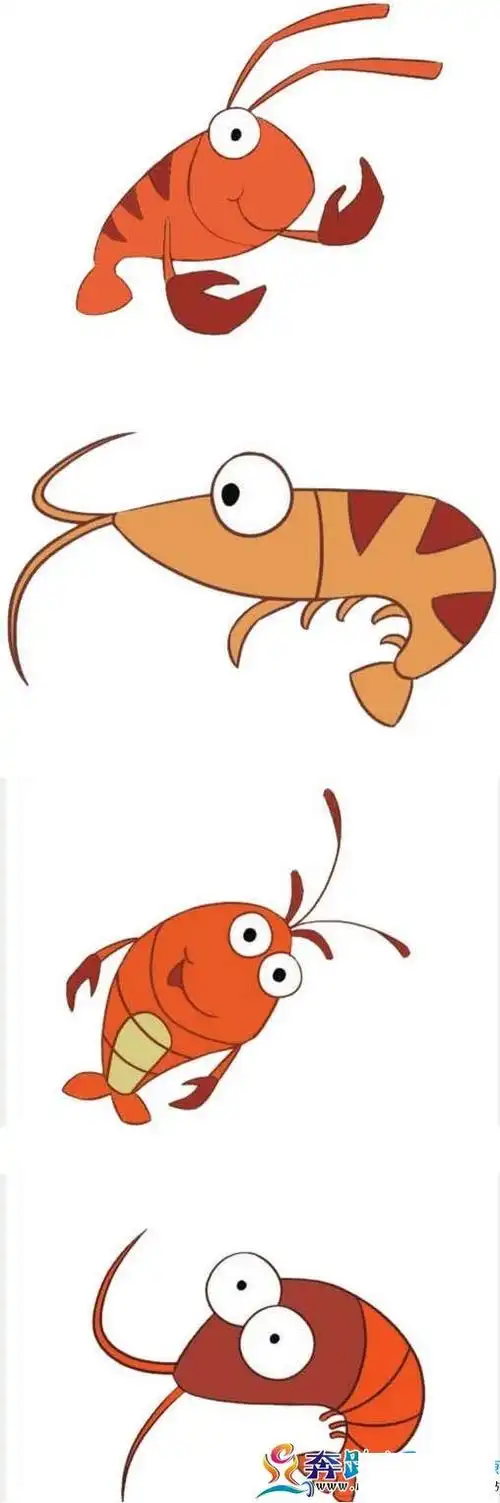 小虾简笔画步骤图解 - 儿童简笔画大全