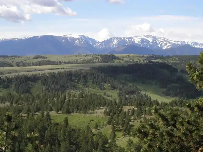 of beartooth front coalition efforts to preserve landowner