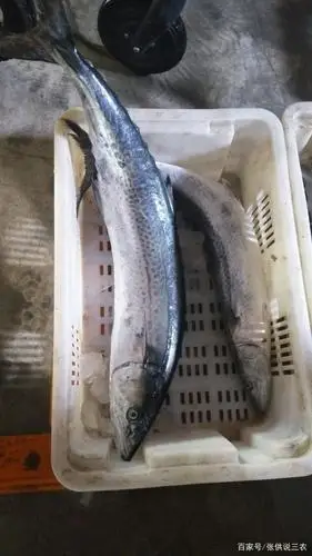 威海休闲8日游,放假咯!我爱威海