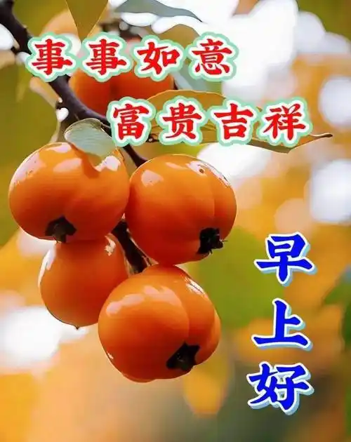 今日最新早上好祝福语图片大全,新版早上好问候语句子!