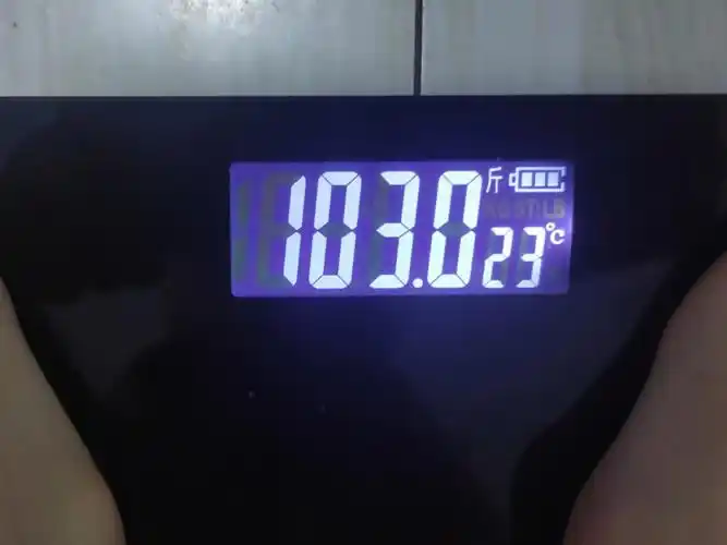 第③天2022.05.25初始体重:104.2斤今日体重:103.