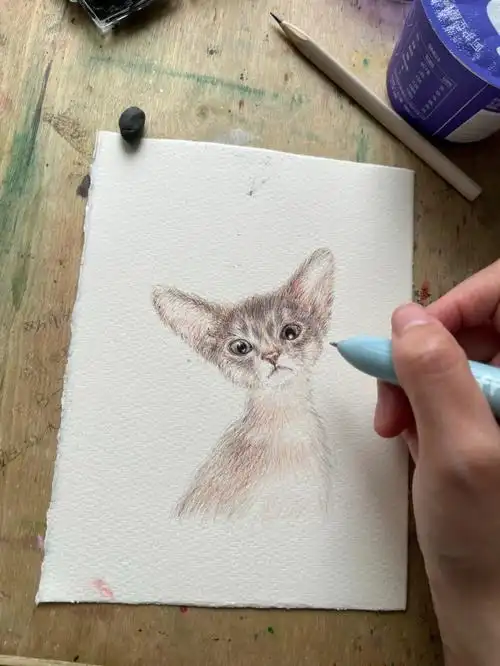 是圆珠笔画的小猫咪哦