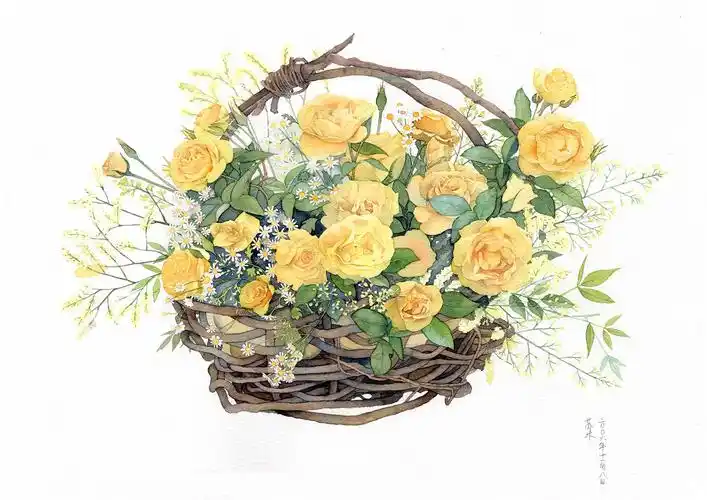 手绘水彩花卉 〕作者 苏木 ° - 堆糖,美图壁纸兴趣社区